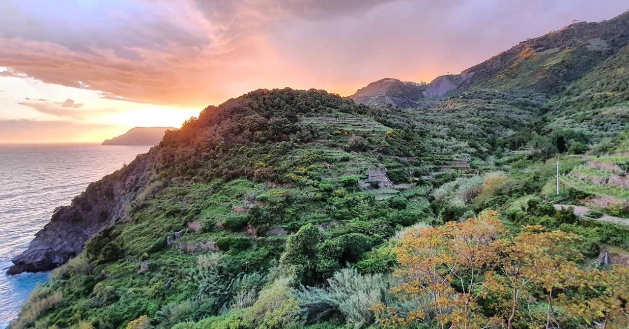Arbanella Hotell Corniglia Eksteriør bilde