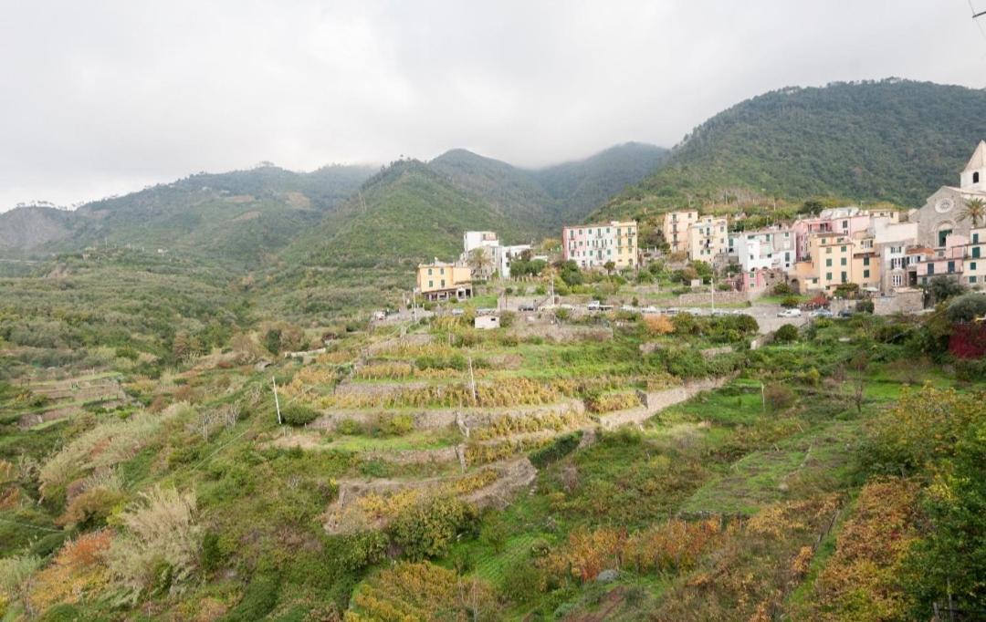 Arbanella Hotell Corniglia Rom bilde